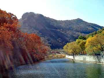 新澳天天开奖资料大全旅游团，精武英雄风云上海滩